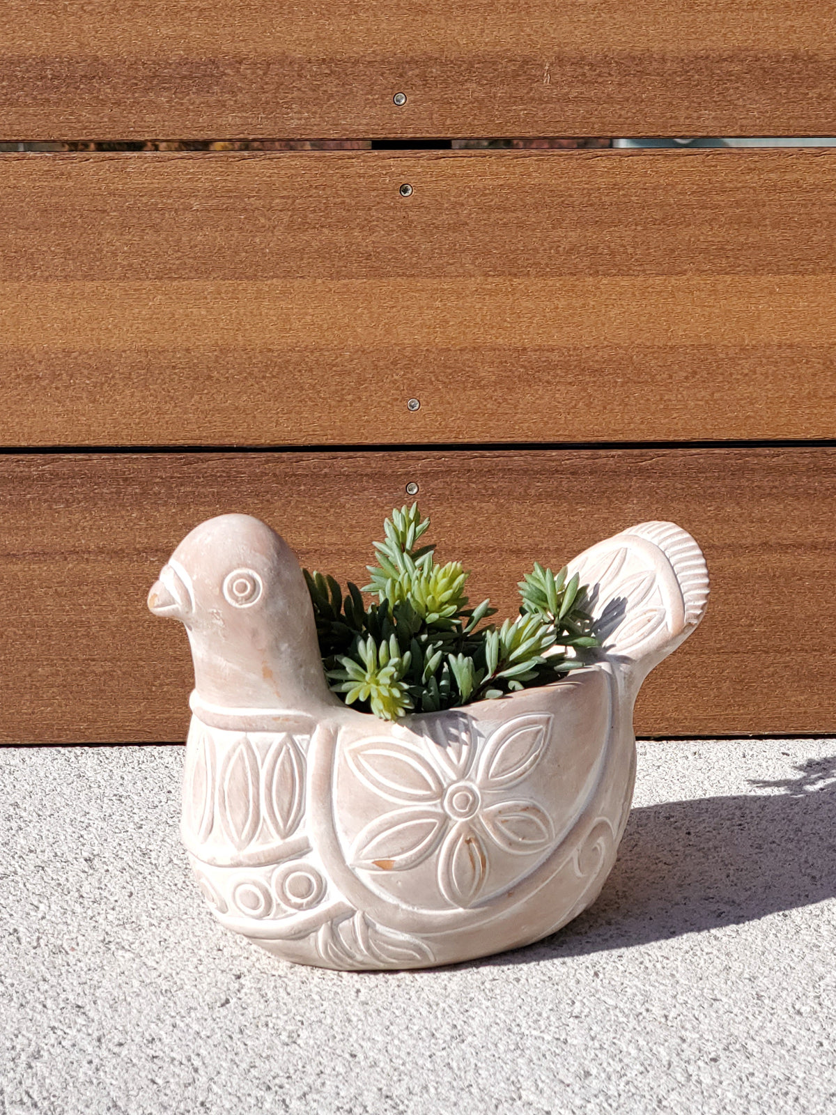 Terracotta pot - Spotted dove
